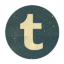 tumblr-icon