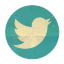 twitter-icon